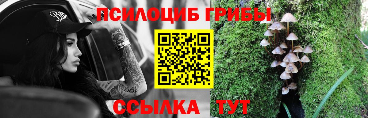 Псилоцибиновые грибы прущие грибы  Псилоцибиновые грибы Cubensis  Вход с VPN  Волхов 