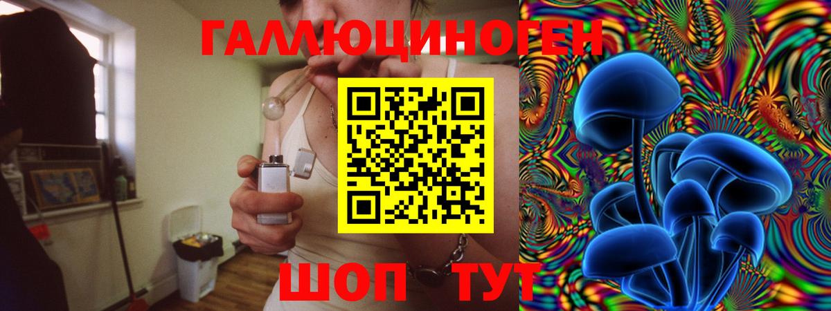 Галлюциногенные грибы Psilocybe Волхов